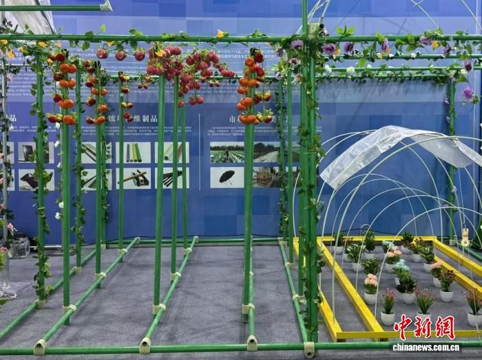 图为杨凌农高会上展出的新材料产品。 杨英琦 摄 图为杨凌农高会上展出的新材料产品。 杨英琦 摄