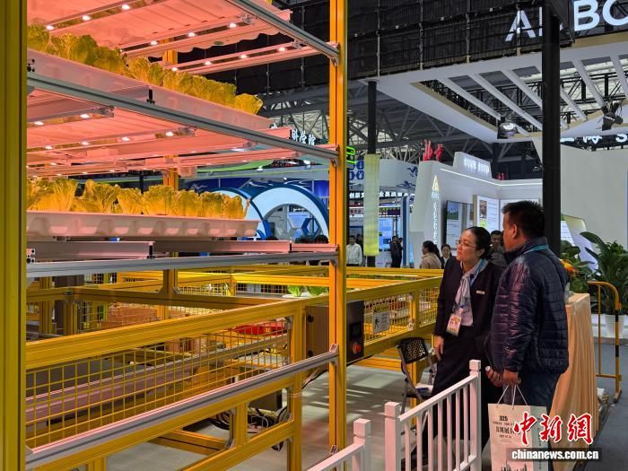 图为第32届杨凌农高会展区现场。 杨英琦 摄 图为第32届杨凌农高会展区现场。 杨英琦 摄