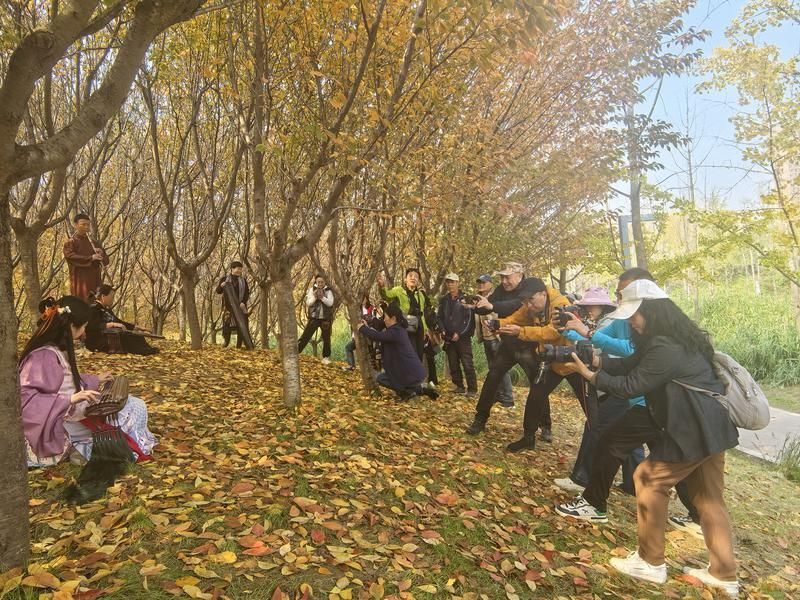 雁塔区文联“去有枫的地方”主题采风活动。 雁塔区文联“去有枫的地方”主题采风活动。