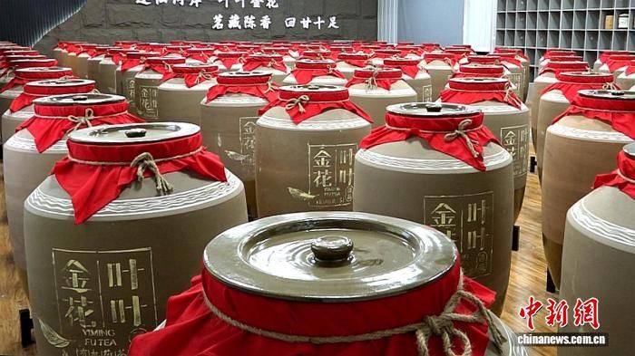 2025年11月,陕西省安康市平利县一茶企的窖藏车间。 陈枢 摄 2025年11月,陕西省安康市平利县一茶企的窖藏车间。 陈枢 摄