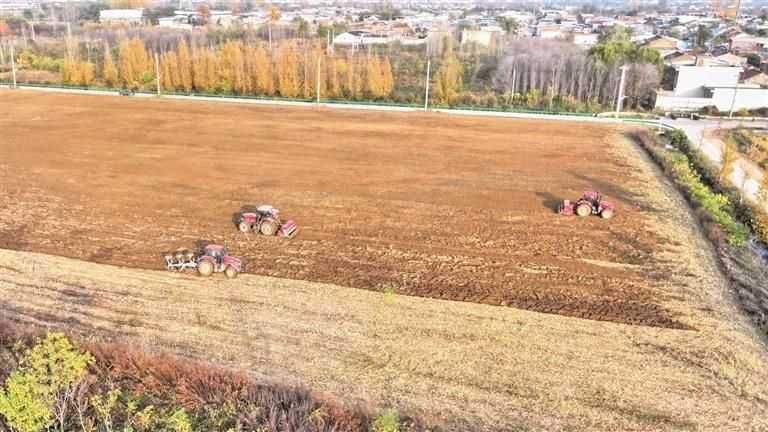 1113գֵ壬гũרҵ֯еֲС󡣽꣬úת5000Ķ1015ץ֯еµҵĿǰСֲѽӽβ  ²