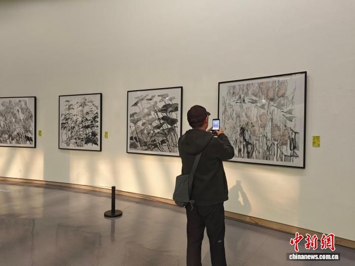 图为“时代长安——陕西当代中国花鸟画研究展”。 阿琳娜 摄 图为“时代长安——陕西当代中国花鸟画研究展”。 阿琳娜 摄