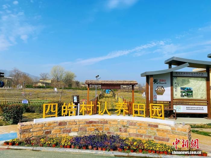 ͼΪг̬ƣƳġ԰Ŀ(ͼ)гͼ