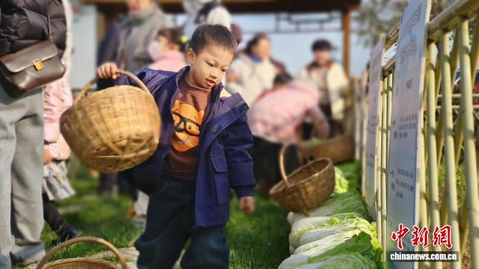 ͼΪ԰ĿΪḸĸչͶѡĿĵء(ͼ)гͼ