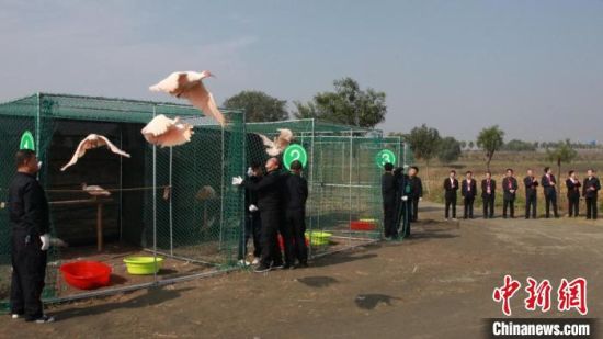 202110£21ֻqڻŹ飬6нq衣