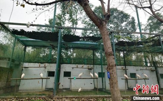 202211£q30ֻq仧ɽӪ