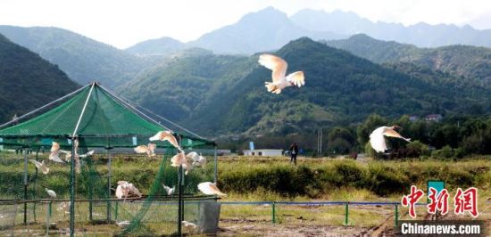 202310£23ֻq뱱´ŷɡ