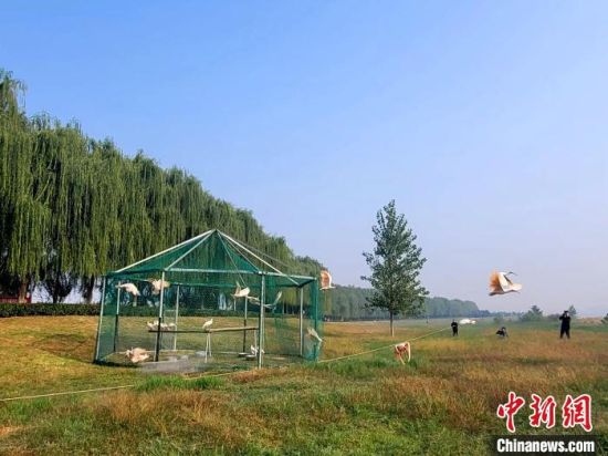 202410£24ֻqμαҰŷɡʮqֲȫ