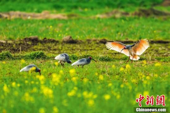 20254£qͲ˻ͬ򡱣ذ͸شɫԡ