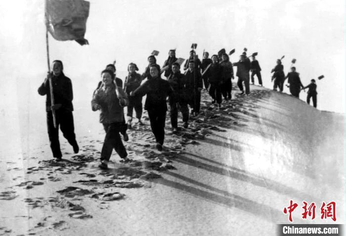 图为第一代治沙姑娘们列队出工时的场景。 图为第一代治沙姑娘们列队出工时的场景。