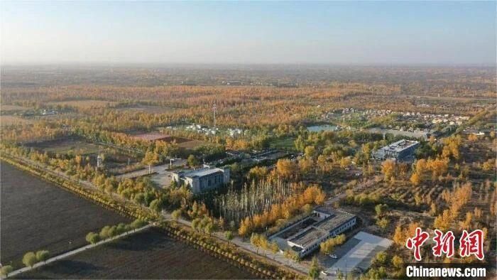 图为如今的补浪河女子民兵治沙连俯瞰图。 朱乃锦 摄 图为如今的补浪河女子民兵治沙连俯瞰图。 朱乃锦 摄