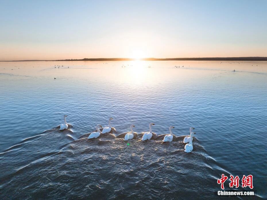 图为陕西红碱淖国家级自然保护区内的秋日盛景。 刘建刚 摄 图为陕西红碱淖国家级自然保护区内的秋日盛景。 刘建刚 摄