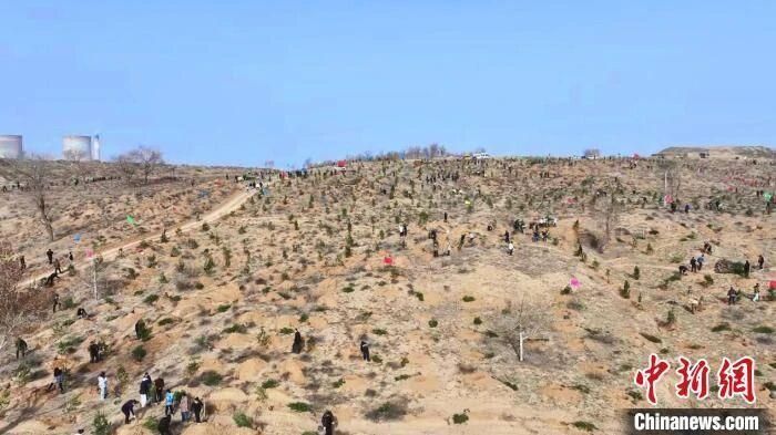 图为榆林市植树现场。陕西省林业局供图 图为榆林市植树现场。陕西省林业局供图