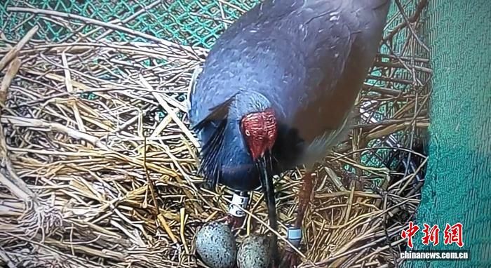 qںɽ仧ɽq˹Ұŷعͼ