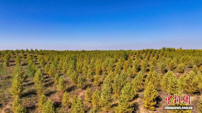 ͼΪ־߾ɳظ̡ ҵͲԭֹͼ