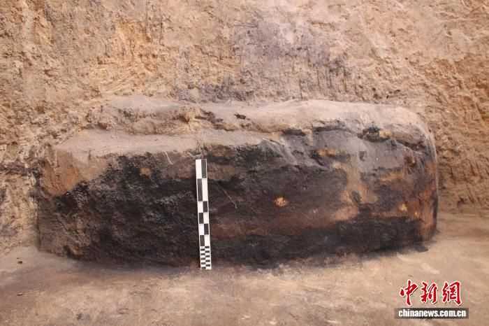 图为碳化物遗存。(资料图,咸阳市文物考古研究所供图) 图为碳化物遗存。(资料图,咸阳市文物考古研究所供图)