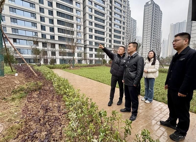 吴海强(左二)与工作人员实地察看小区完工情况。 吴海强(左二)与工作人员实地察看小区完工情况。