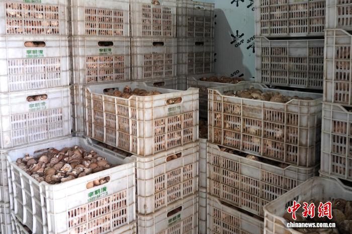 ͼΪ��������ʡ�����ص��㹽�� ���� ��