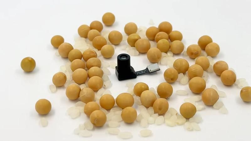 �Ȼƶ���С��T3-0.13Ӣ��ȫ�ʹ����