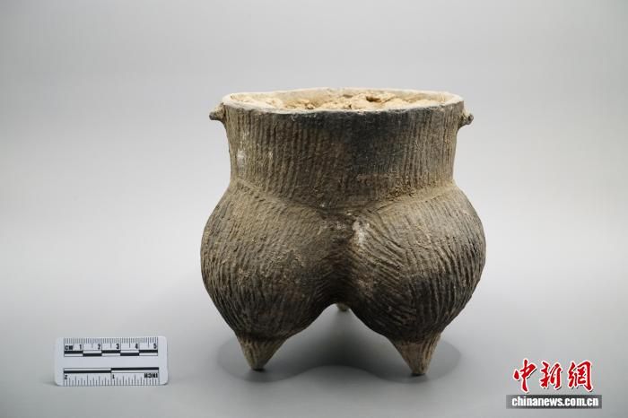 ͼΪ��¹ƺ��ַ��������ت��(����ͼ�������п����о�����ͼ)