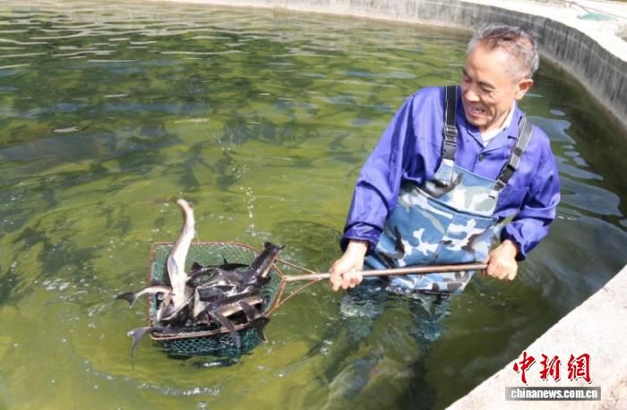 ͼΪ��ֳ�����ڲ��̡� ����� ��