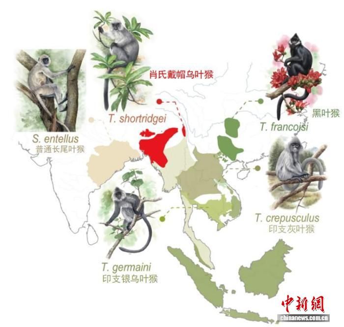 ��ñ��Ҷ����ֲ��������Ĺ�������������ѧ��ͼ