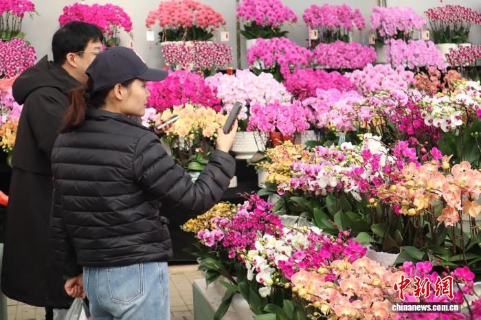 2��7�գ����������뻨����ѡ���������� ��һ�[ ��