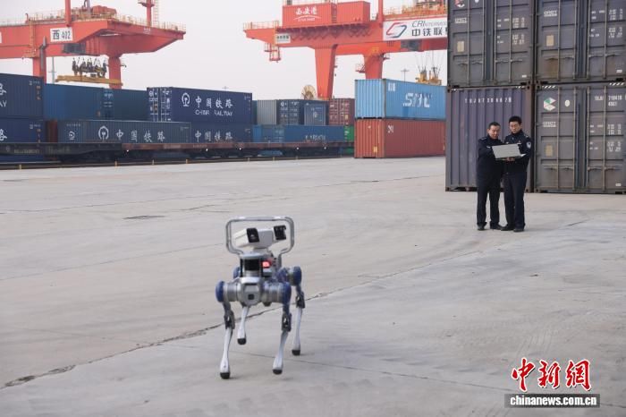 ����Ѳ�ػ��������������ʸ�վ�ڿ�չѲ����ҵ������ ��