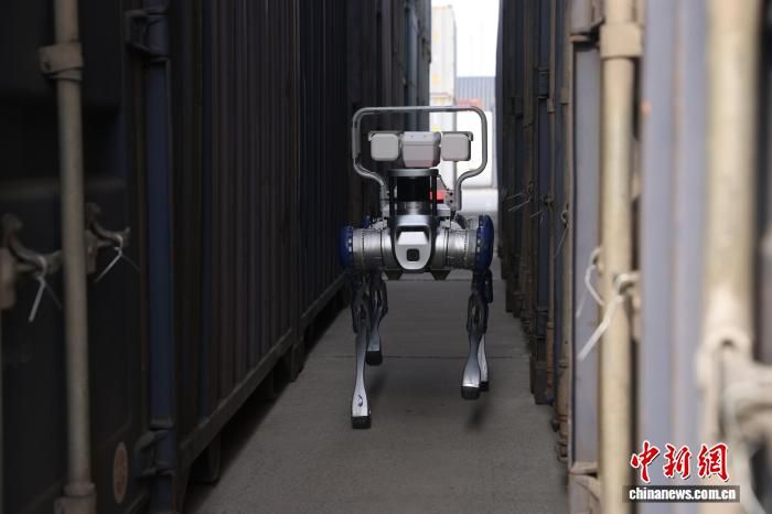 ����Ѳ�ػ��������������ʸ�վ�ڿ�չѲ����ҵ������ ��