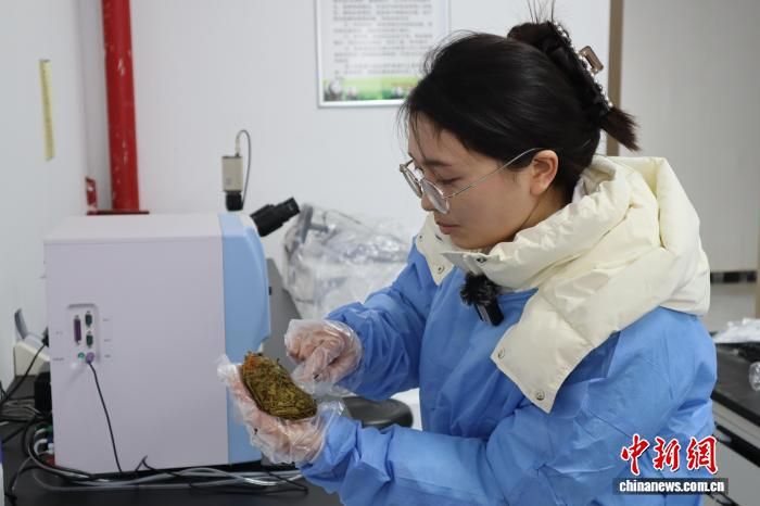 2026��2�£����������è��㣬�����è����״���� ��һ�[ ��