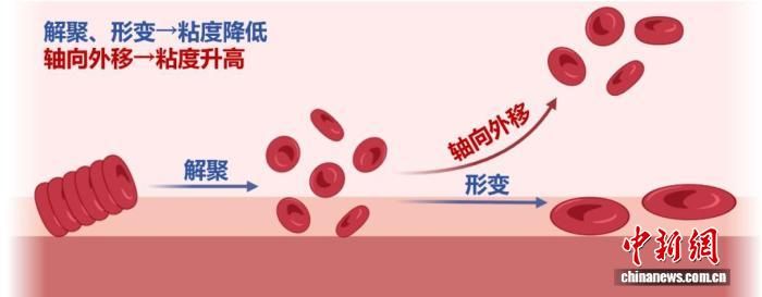 ѪҺ����ϡ������ʾ��ͼ�� ������ҵ��ѧ ��ͼ