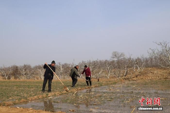 图为陕西渭南东雷抽黄灌区春灌工作正式拉开帷幕。左丹丹 摄 图为陕西渭南东雷抽黄灌区春灌工作正式拉开帷幕。左丹丹 摄