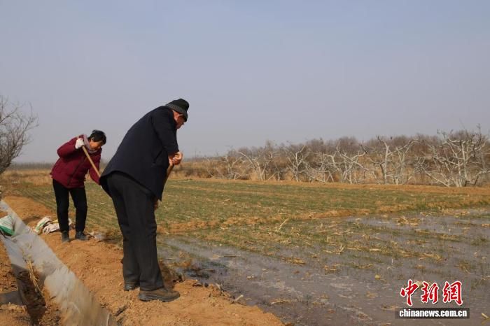 图为陕西渭南东雷抽黄灌区春灌工作正式拉开帷幕。左丹丹 摄 图为陕西渭南东雷抽黄灌区春灌工作正式拉开帷幕。左丹丹 摄