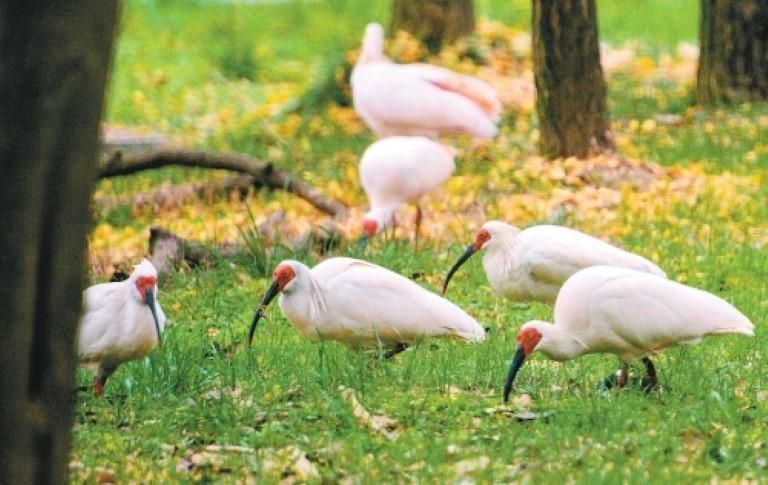 ��Ϣ�������ı���ѧ��԰������q��