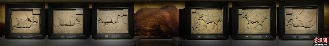 ͼΪ���������ֲ����չ����������������С�� ��