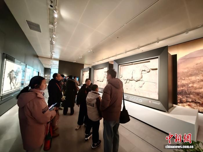 �������������ֲ���ݲι����������������� ��