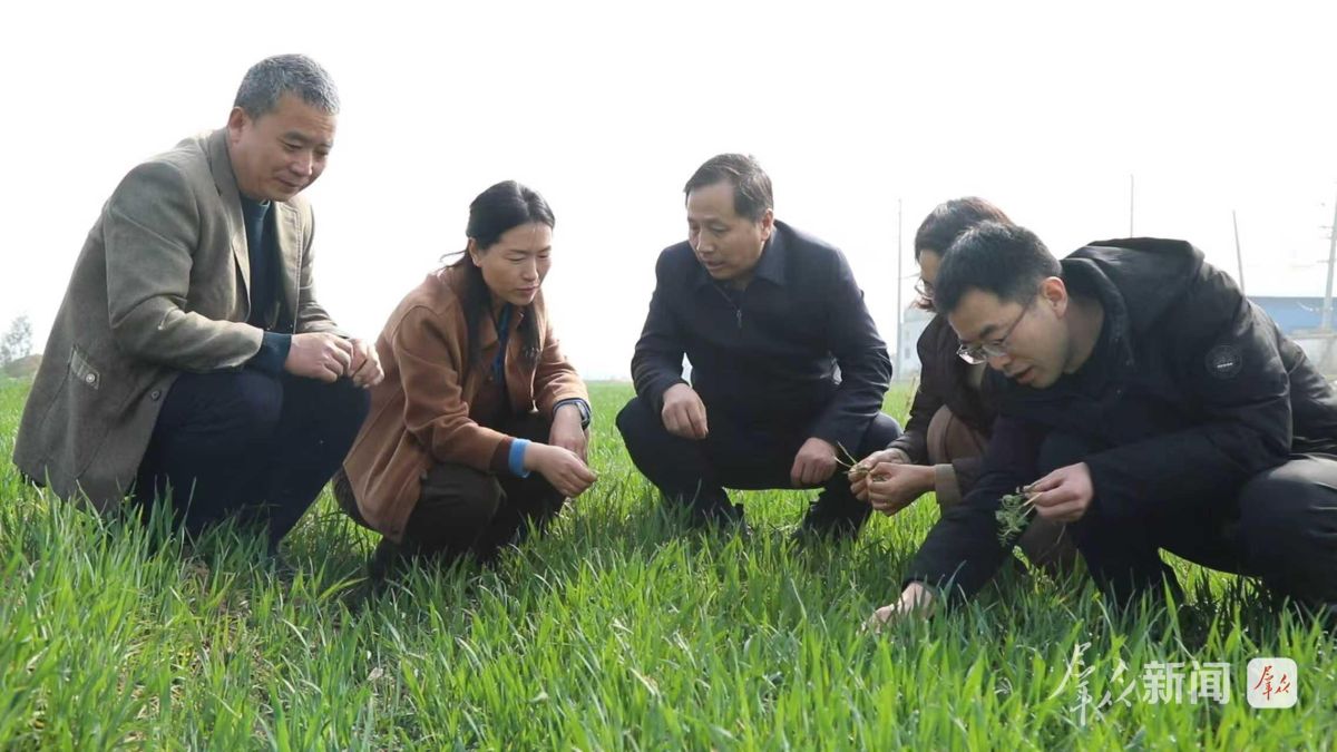 ����ʡֲ�ﱣ��������վ������Ա�鿴�����Ӳݲ��������