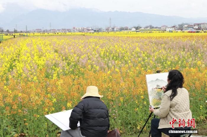 ͼΪ����ʡ�����л滭�������ڲ�ɫ�Ͳ˻�����д��������һ�[ ��