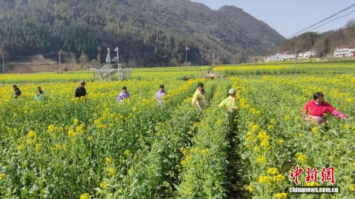 ͼΪ����ʡ����������һ���Ͳ����ֻ����ũ�������������޳��� ��