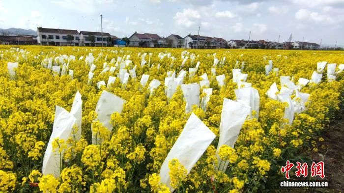 ͼΪ����ʡ���������ص��Ͳ���޳��� ��