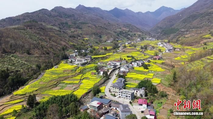 图为油菜花海与层层叠叠的梯田构成一幅秀美画卷。汉阴县融媒体中心供图 图为油菜花海与层层叠叠的梯田构成一幅秀美画卷。汉阴县融媒体中心供图