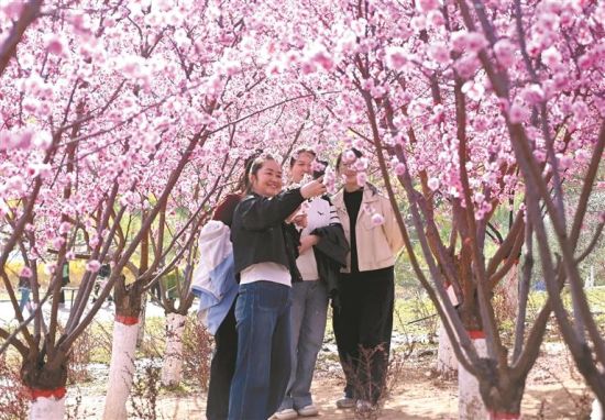 �������ڣ��Ӱ��Ի�Ϊý�����ͻ�ת��Ϊ�ɸпɼ��Ķ�Ԫ�������飬�á����վ��á����ű���������ͼΪ4��5�գ������ο����Ӱ�����³����̬��԰̤�����棬�����ա� ����ͨѶԱ ������ ��