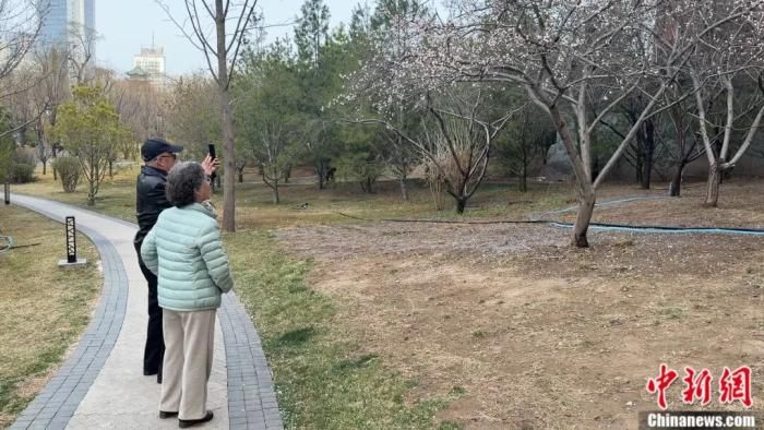 3月26日,山西太原,市民在迎泽公园赏花。中新网记者 范丽芳 摄 3月26日,山西太原,市民在迎泽公园赏花。中新网记者 范丽芳 摄