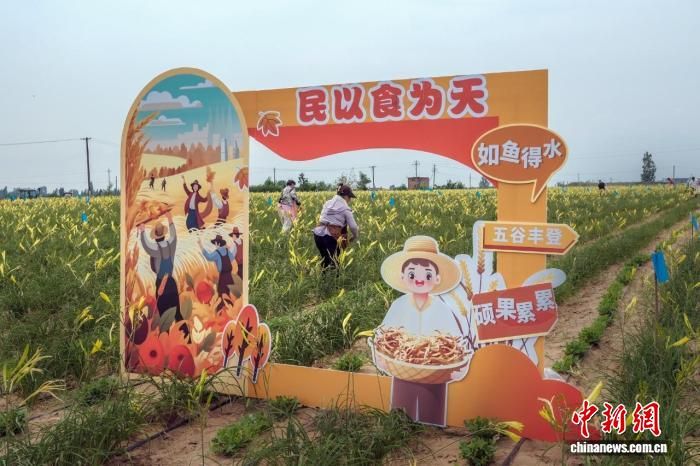 ͼΪ���������մ�ƻ��˷��ռ��껪��ֳ������ ��