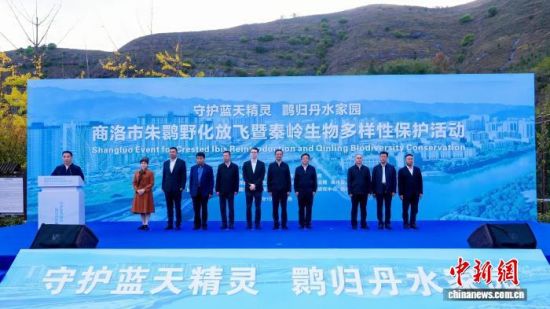 朱鹮野化放飞暨秦岭生物多样性保护活动在商洛市商州区会峪河湿地举行。陕西省林业局供图 朱鹮野化放飞暨秦岭生物多样性保护活动在商洛市商州区会峪河湿地举行。陕西省林业局供图