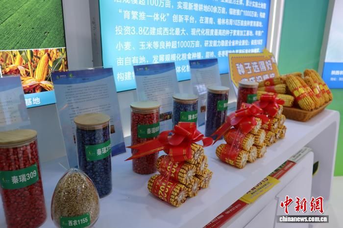 10月25日,第三十三届中国杨凌农业高新科技成果博览会现场。 李一璠 摄 10月25日,第三十三届中国杨凌农业高新科技成果博览会现场。 李一璠 摄