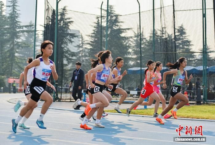 2026年陕西省田径冠军赛暨陕西省体育传统特色学校田径联赛23日启幕。(赛事组委会供图) 2026年陕西省田径冠军赛暨陕西省体育传统特色学校田径联赛23日启幕。(赛事组委会供图)