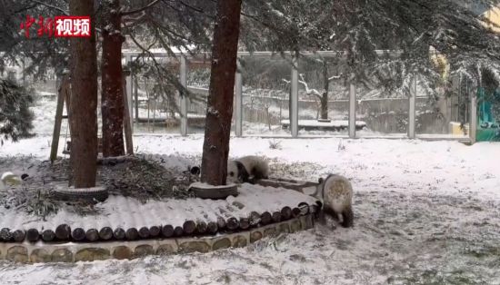 全球首桶地下原位热解煤焦油在陕成功提取