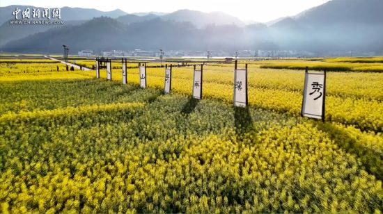 国医大师喊话年轻人：不要“以吃代休息”