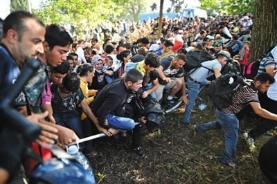 媒体盘点难民成本:1人1年花费德国1.2万欧元-